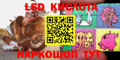 гашик Сланцы