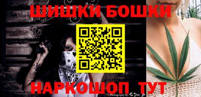 гашик Славгород