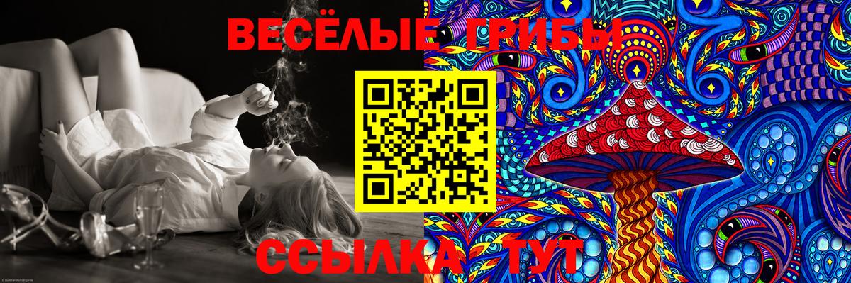 Галлюциногенные грибы MAGIC MUSHROOMS  Вход с VPN  купить наркотик  Новый Уренгой 
