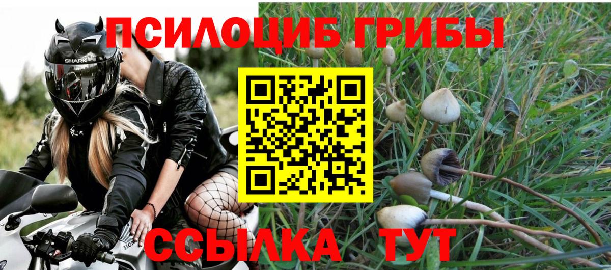 Канабис Новый Уренгой